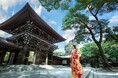 【明治記念館】“明治神宮の結婚式が丸わかり!” 明治神宮の境内の「奉賽殿」でも明治記念館の「庭園の儀式殿」でも。緑豊かな挙式会場で理想の結婚式が叶うブライダルフェアをご紹介します