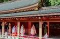 【フォレストテラス明治神宮】和婚・神前挙式をご検討のおふたりへ 「和婚プレミアムフェア」を開催！～伝統の神前式相談会＆和洋食べ比べ試食付き体験型ブライダルフェア～
