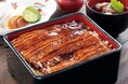 【明治記念館】夏の風物詩“国産鰻”を贅沢に味わう「羽衣のうな重 -国産鰻使用-」を6月1日よりご提供！職人が一尾ずつ丁寧に焼き上げる、店内・テイクアウトで愉しめる季節限定メニュー