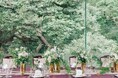 【フォレストテラス明治神宮】平日限定！人気スイーツ試食付き「神社婚・和婚ダンドリ相談会」を開催！