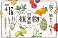 【入場無料】植物を「百貨店」のように、「展覧会」のように五感で楽しむマーケットイベント「植物百貨展」を2026年4月17日（金）・18日（土）東京浅草橋・CPK GALLERYにて開催！