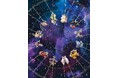 【ANNA SUI】12星座をモチーフにした Zodiacコレクション