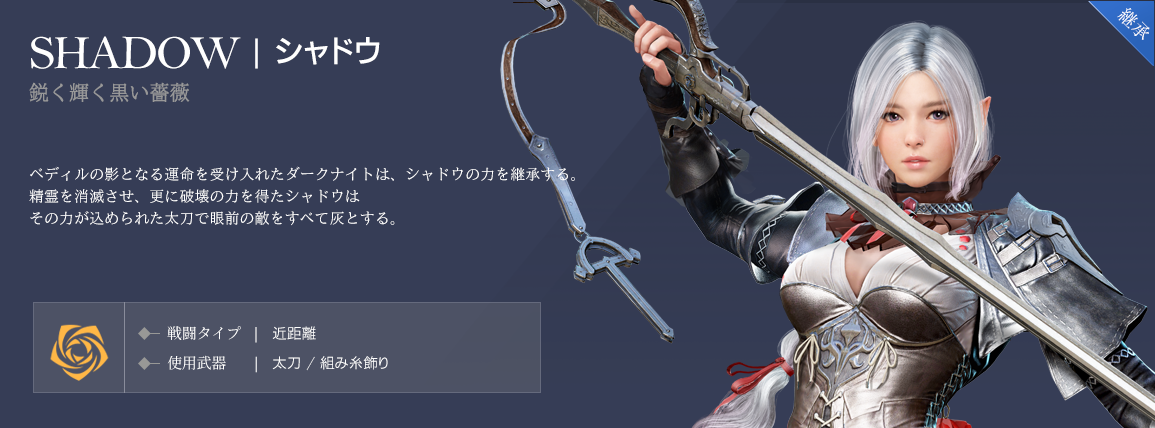 想像を超える 次世代のrpg 黒い砂漠モバイル ２つの継承クラスを実装 全クラスが継承可能に 株式会社pearl Abyss Jpのプレスリリース