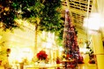 高さ9mの淡路島内最大級クリスマスツリー&電飾淡路ハイウェイオアシスに登場!2024年11月2日(土)点灯式開催!!