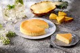 【チーズガーデン】『御用邸チーズケーキ』夏季限定3つのフルーツフレーバーシリーズで登場 第1弾は初のトロピカルフルーツフレーバー『御用邸パイナップルチーズケーキ』