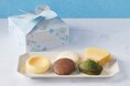 【チーズガーデン】ギフトや自分へのご褒美にぴったりな人気のチーズ焼菓子5種セット　ホワイトデーシーズン限定ボックス『ホワイトデー焼菓子ボックス』発売