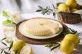 【チーズガーデン】「季節の御用邸チーズケーキ」の人気夏フレーバーがブラッシュアップ　チーズのミルキー感と風味豊かなレモンの味わい『御用邸レモンチーズケーキ』