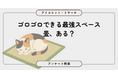 和室ありは約5割、「不便」の声も多数　現代の畳事情とは？8,006人に聞いてみた【SEO・AIO時代に効く一次データ・アンケート調査受託】
