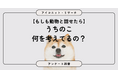 【動物と話せたら？】8割超が選んだのは珍しい動物より「身近な動物の本音」　6,832人に聞いてみた【SEO・AIO時代に効く一次データ・アンケート調査受託】