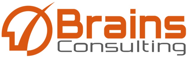 brainsconsulting,inc