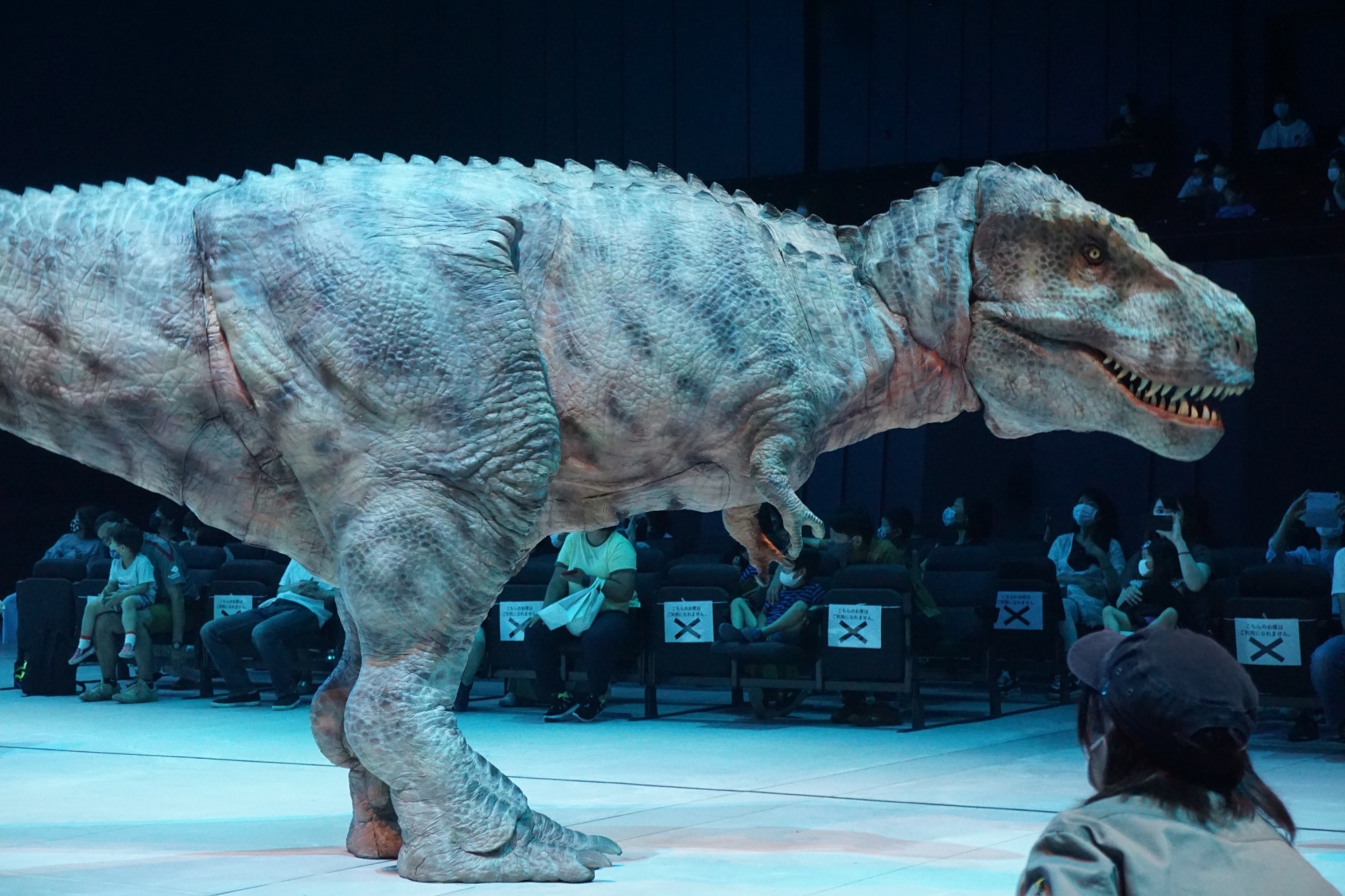 いよいよ開幕 8mのティラノサウルスをはじめ リアルな恐竜たちが立川に Dino A Live 不思議な恐竜博物館 In Tachikawa 株式会社サンライズプロモーション東京のプレスリリース