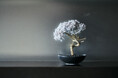 パークホテル東京 再生盆栽アート「WITHERS TAIZAN BONSAI」設置のお知らせ