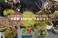 3/21〜3/23に大宮盆栽村開村100周年記念×大宮駅開業140周年記念「大宮駅 BONSAI マルシェ!」を開催します!