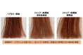ヘアカラーを長持ちさせるカラーキープシャンプーの開発　～イオンの引力で毛髪に付着する独自原料「カチオン性アクリルシリコーン樹脂」でコーティング～