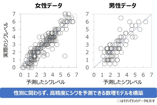 図1　男性データを踏まえたシワ予測の数理モデルの精度確認