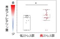 心理的ストレスにより肌のバリア機能が低下することを実証 国際的な化粧品技術の研究発表会IFSCCにて発表