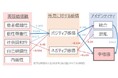 中高生の“自分らしさ”の受容がアイデンティティの確立と幸福感に繋がることを確認 ~スキンケア習慣が肌と心に自信を与える~