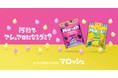 不思議な食感が話題に！カンロ「マロッシュ」日本食糧新聞社 第40回食品ヒット大賞「優秀ヒット賞」を受賞