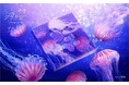 SNS映えで大人気！海を漂うクラゲの幻想的な世界観に癒される新感覚グミ第2弾　カンロ「シークラゲグミ アカクラゲ」オンライン限定発売
