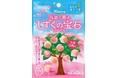 南信州菓子工房とカンロがコラボレーションしたアップサイクルグミカンロ「しずくの宝石グミ芳潤白桃味」今年も発売決定