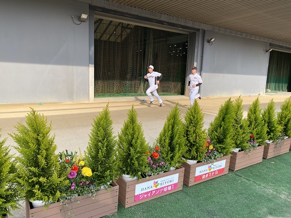 植栽越しに見える練習用走路の選手たちの様子 植栽越しに見える練習用走路の選手たちの様子