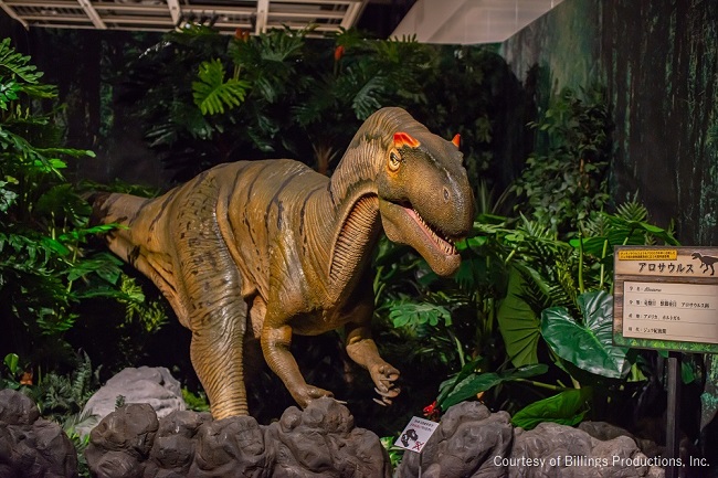 アロサウルスのロボット　Courtesy of Billings Productions, Inc