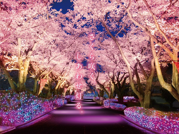 夜桜ジュエルミネーション(イメージ)
