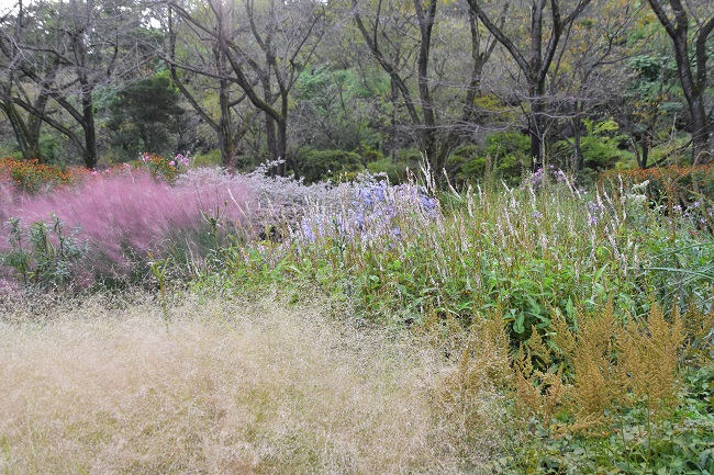 PIET OUDOLF GARDEN TOKYO(2022年10月撮影) PIET OUDOLF GARDEN TOKYO(2022年10月撮影)