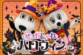 仮装をするとワンデーパスが最大1,000円引きに! よみラン おしゃれハロウィン!