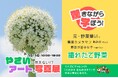 Connectivとハリマ紙器印刷工業が、埼玉県の遊園地「むさしの村」にて開催されるイベントにおいて、NFTを活用したクイズラリーを開催