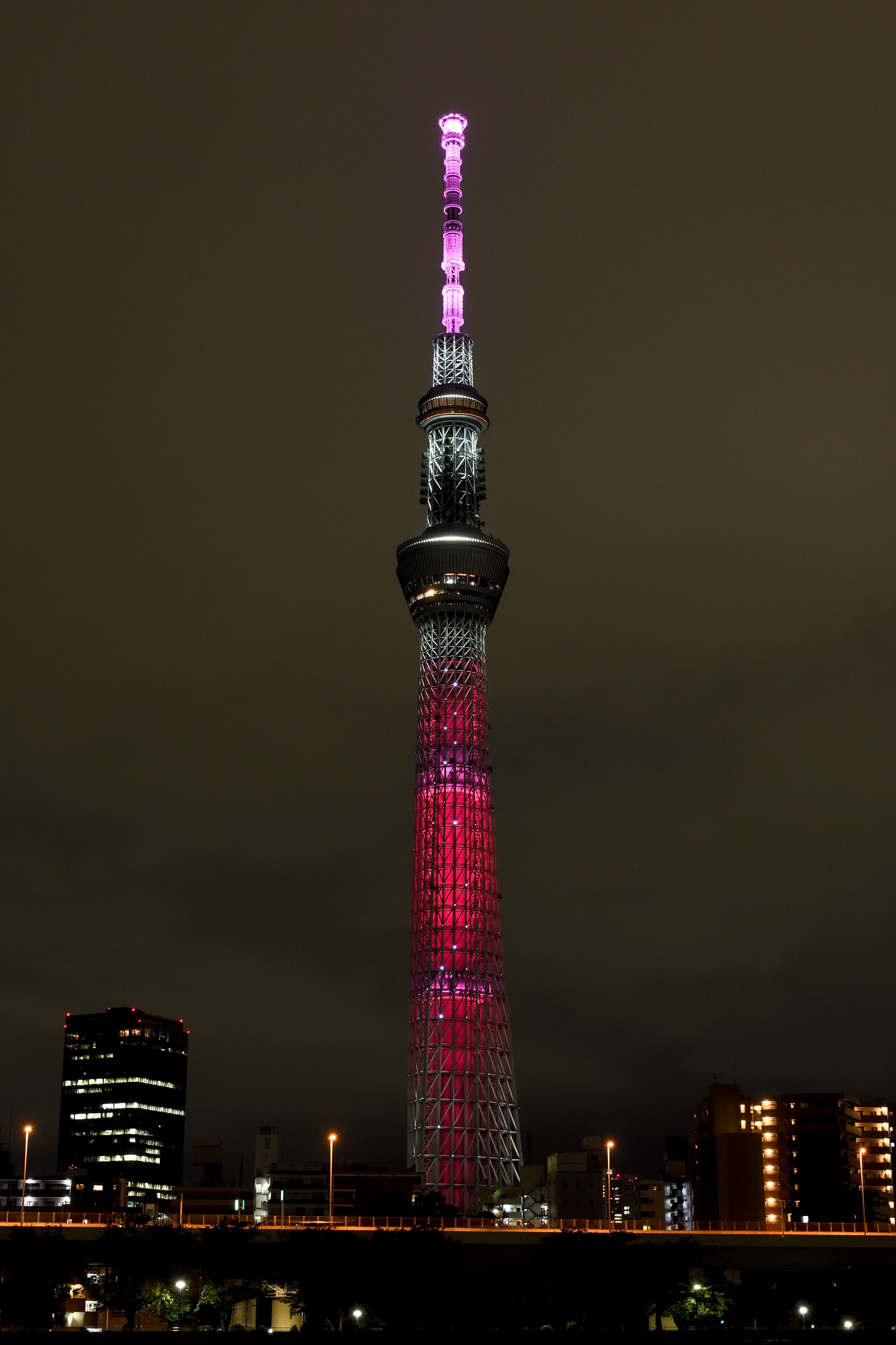 東京スカイツリーは 国連創設７５周年 を記念し Sdgsの１７色の特別ライティングを点灯します 東京スカイツリータウンのプレスリリース