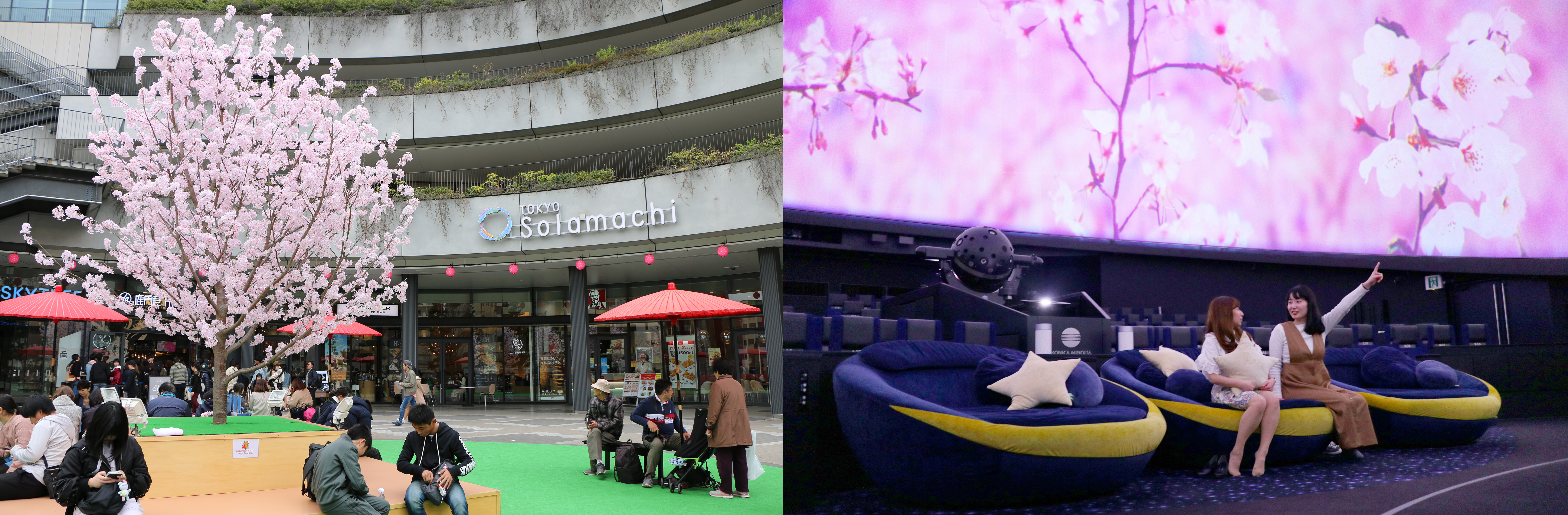 東京スカイツリータウン R の春休み ｇｗイベント 桜をイメージした東京スカイツリー の特別ライティングを点灯 桜モチーフの限定メニュー スイーツも販売 東京スカイツリータウンのプレスリリース
