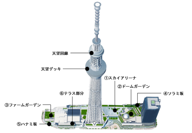 東京スカイツリー R 初日の出特別営業 を2年ぶりに実施 東京スカイツリータウンのプレスリリース