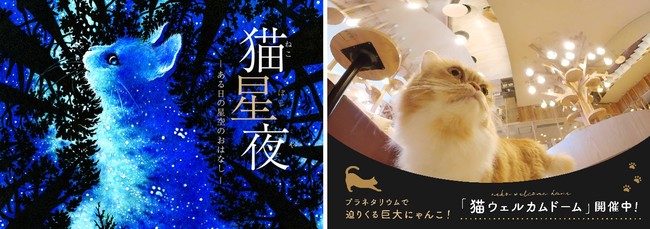 2022年2月22日は「猫の日」！東京ソラマチ(R)初めての猫フェア「猫の日セレクション」開催！｜東京スカイツリータウンのプレスリリース