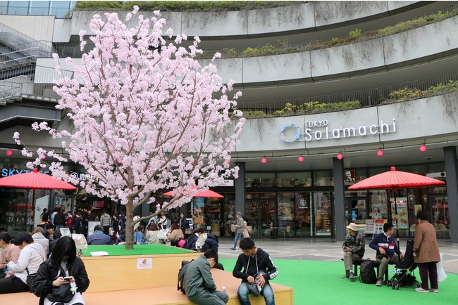 東京ソラマチさくらまつり(過去の様子)(C)TOKYO-SKYTREETOWN 東京ソラマチさくらまつり(過去の様子)(C)TOKYO-SKYTREETOWN