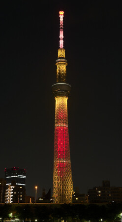 特別ライティング『不死鳥』（イメージ）(C)TOKYO-SKYTREE