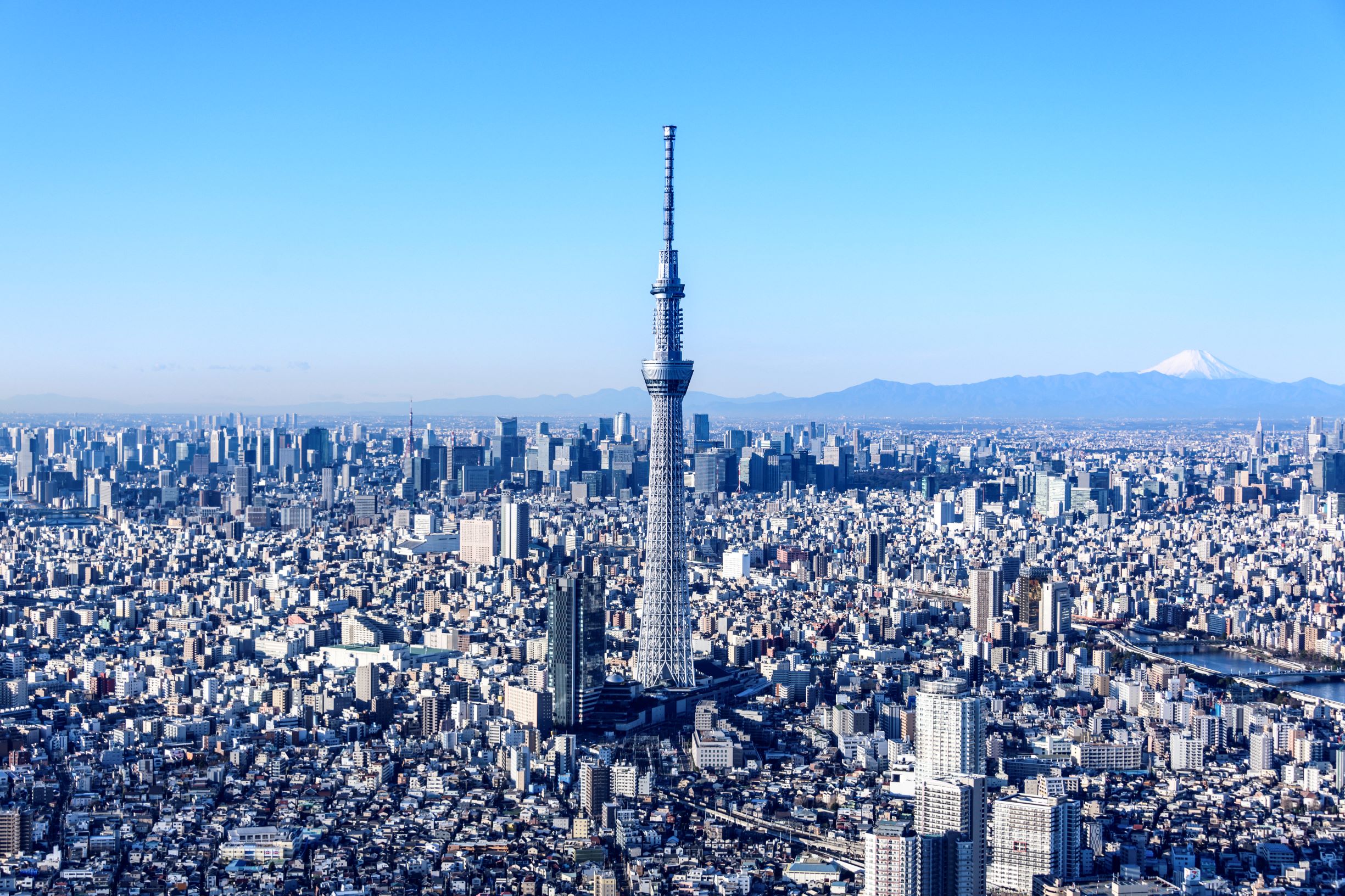 Sky tree