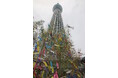 東京スカイツリータウンでキラキラな七夕まつりを楽しもう!東京スカイツリータウン(R)七夕イベント