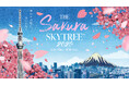東京スカイツリー(R)でしか体験できない“空×桜”を楽しめるイベントを開催！ THE Sakura SKYTREE(R)～空の上の桜に、会いに行く～