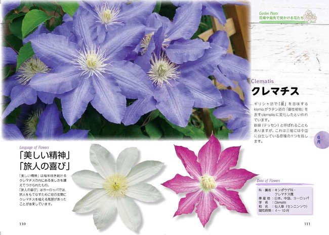野の花から 切り花まで きらめく花たちのささやき声をお届け 幸せを運ぶ 花言葉12か月 発売 株式会社日本文芸社のプレスリリース