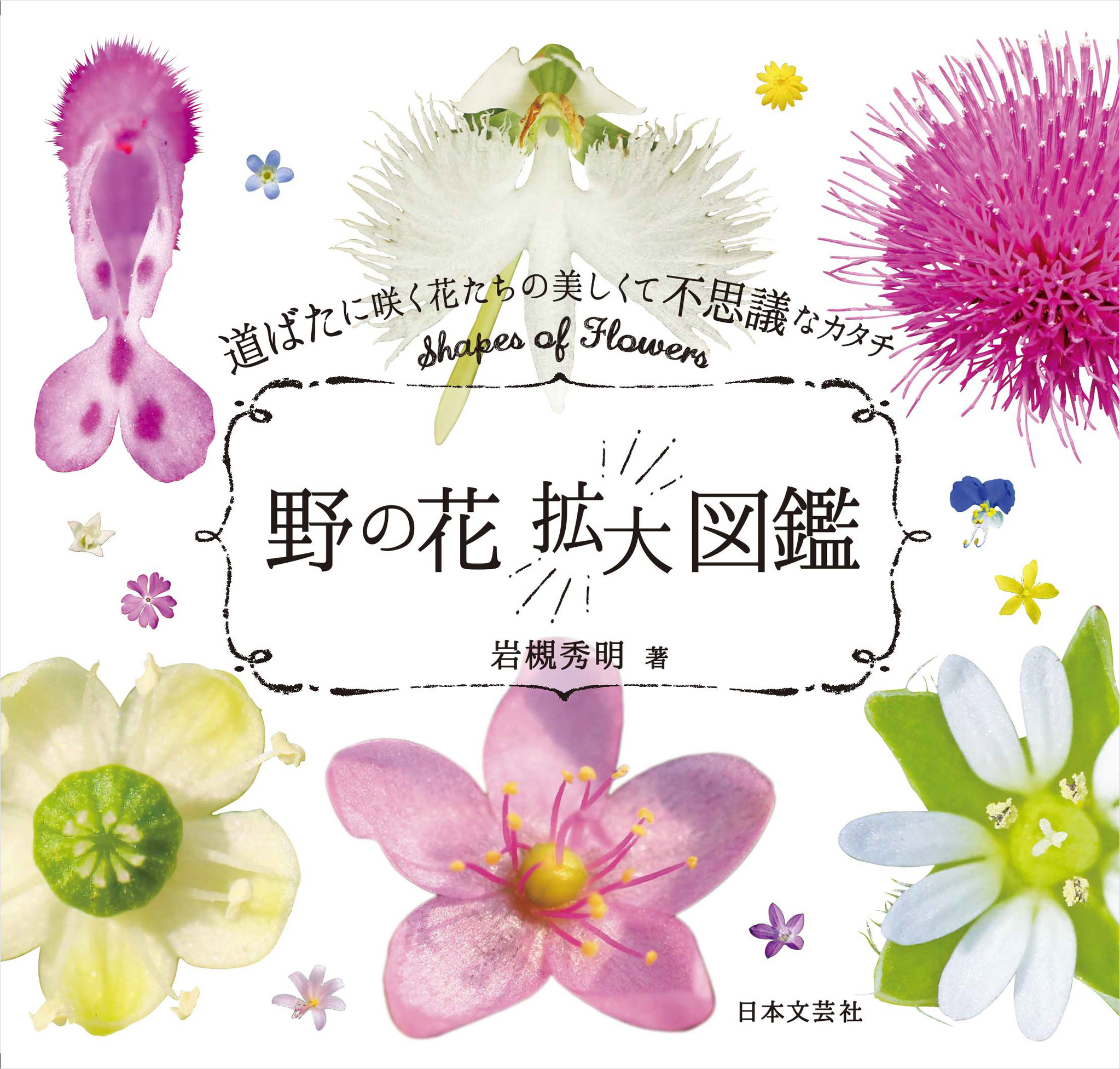 身近に咲く花の中をじっとのぞきこんでみよう 野の花 拡大図鑑 発売 株式会社日本文芸社のプレスリリース
