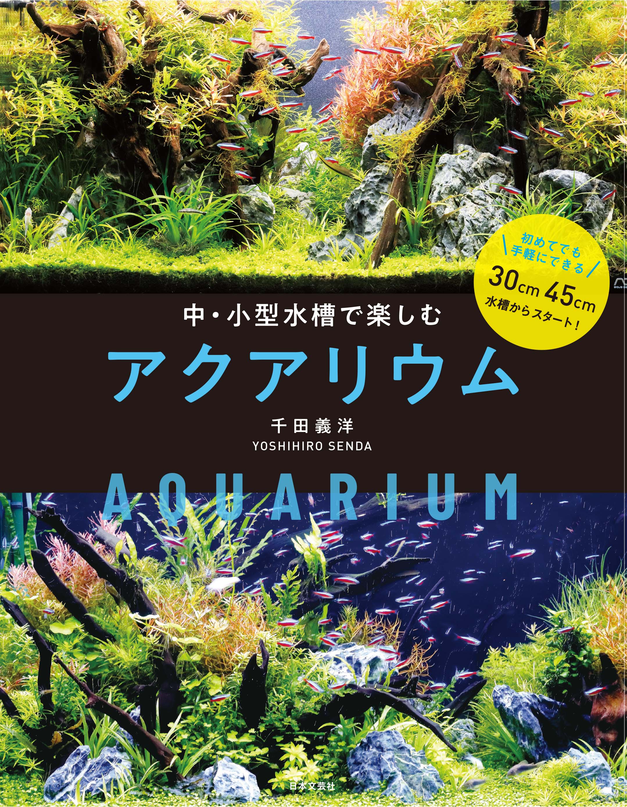 水草と魚が織りなす鮮やかで小さな大自然 中 小型水槽で楽しむアクアリウム 4 30発売 株式会社日本文芸社のプレスリリース