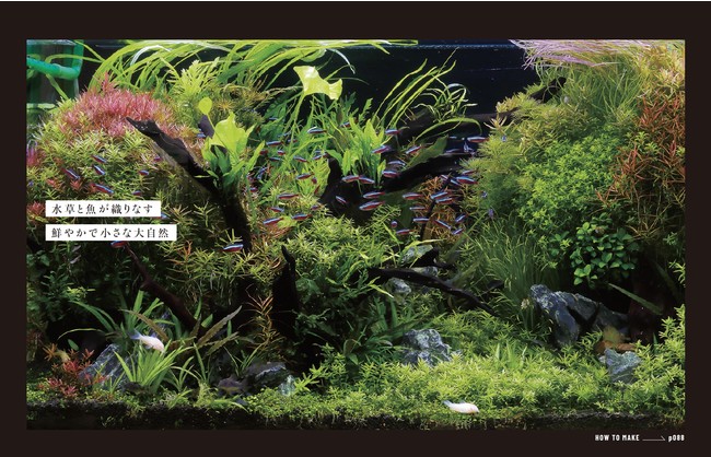 11941円 【最安値に挑戦】 ガラス製の水槽 小さなデスクトップの水槽 水陸両用の生態学的な水槽 上層の緑の植物 下層の魚 マルチフィルターチャンバーシステム