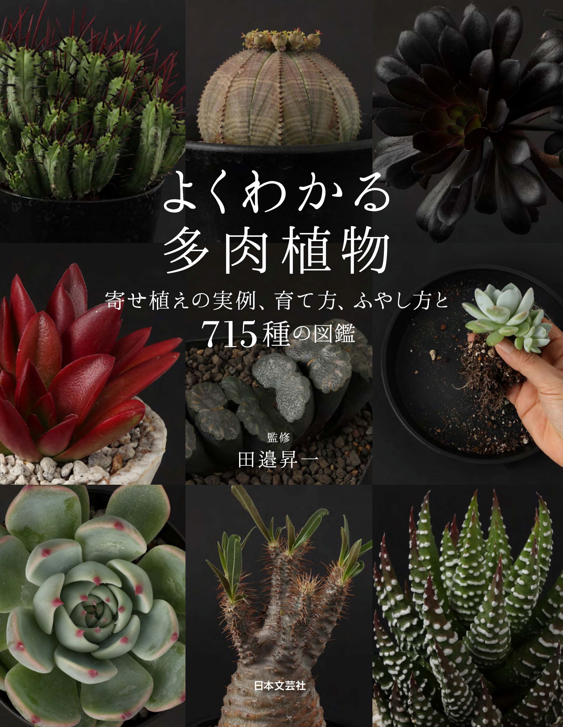 初心者から愛好者まで 楽しい多肉植物ライフを約束する よくわかる多肉植物 5 16発売 株式会社日本文芸社のプレスリリース