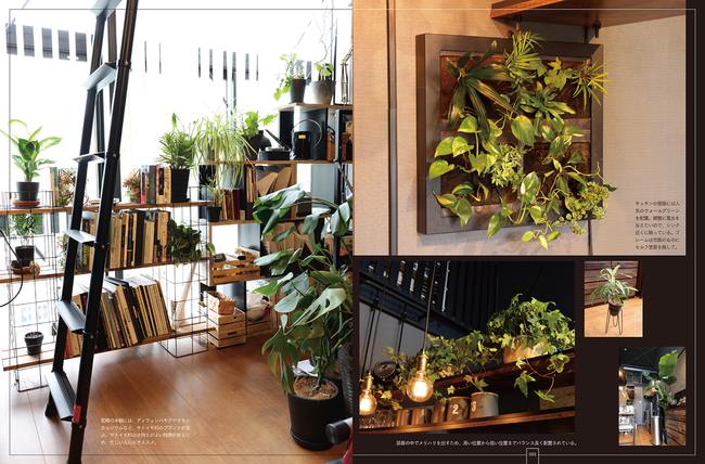 いま人気のインテリアグリーンをより長く より美しく楽しみたい 観葉植物図鑑 8 1発売 株式会社日本文芸社のプレスリリース