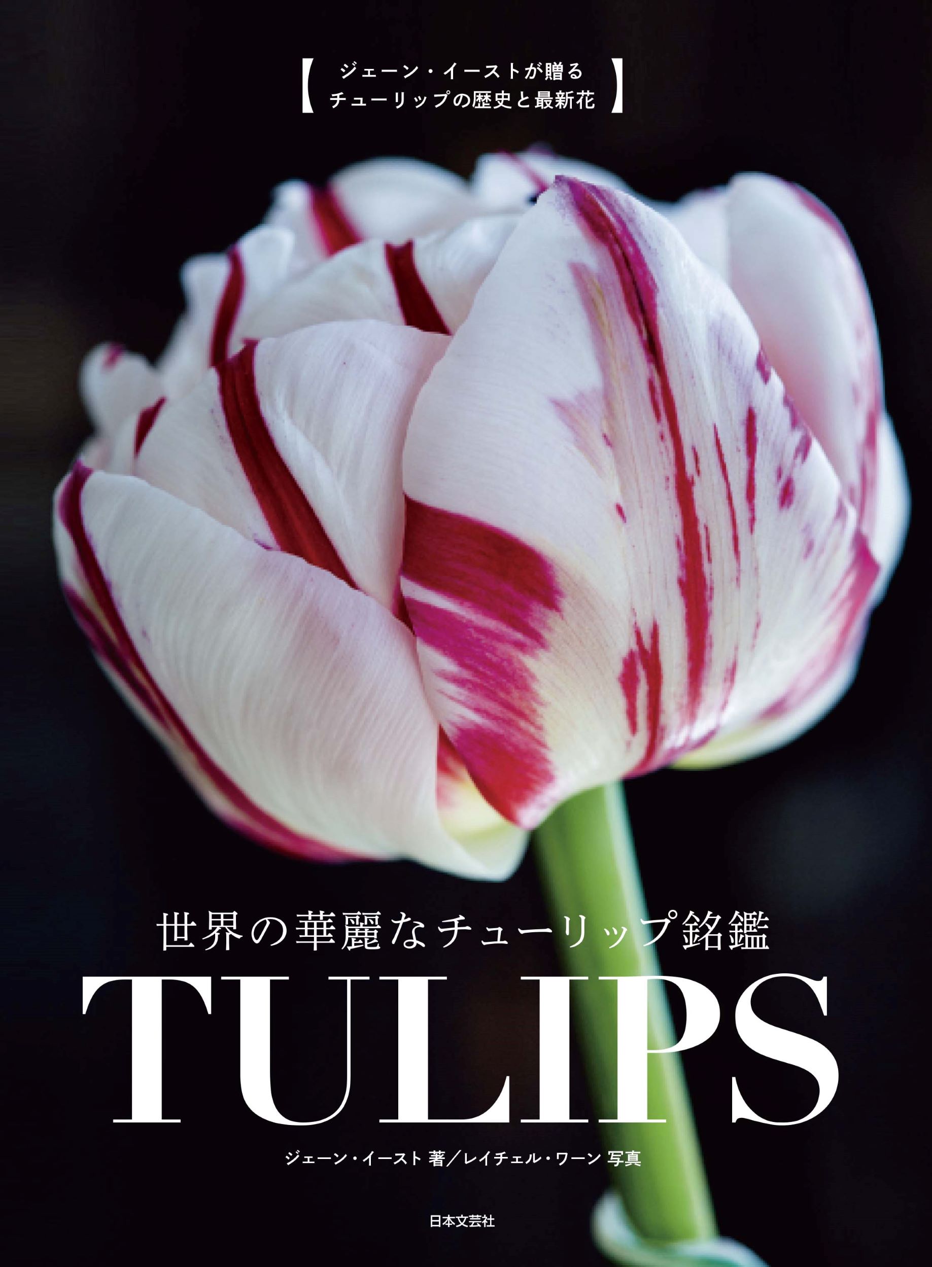 チューリップの真の魅力を伝える美しくモダンな図鑑 世界の華麗なチューリップ銘鑑 Tulips 4 19発売 株式会社日本文芸社のプレスリリース