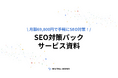 【月額69,800円】格安でSEO外部対策を支援する「SEO対策パック」を提供開始