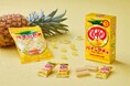 「ほんまにあの味なん!?」 盛り上がる大阪の新・大阪土産「キットカット パインアメ味」登場!