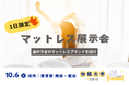 申込〆切まで残り3日!【10月6日(日) 東京都 両国・蔵前】一日限定のマットレス展示会。展示予定のマットレスブランドを動画で紹介します!