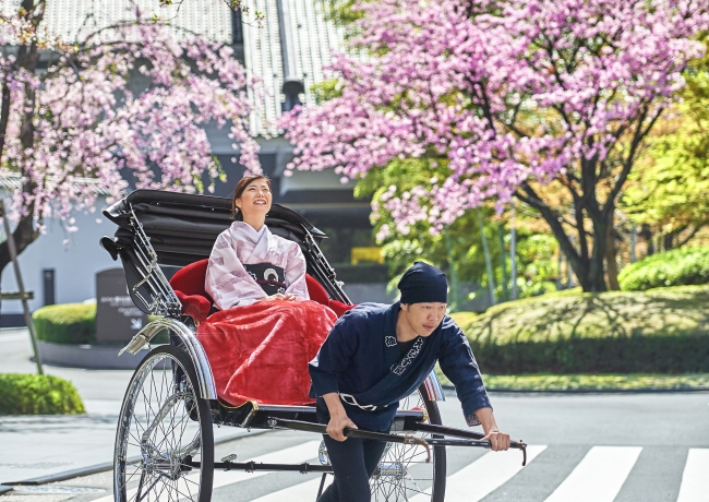 人力車で巡る目黒川の観桜小旅行イメージ